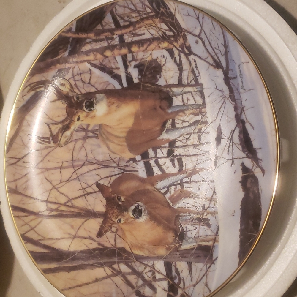 AFTERNOON  ALERT COLLECTOR PLATE - Picture 2 of 5